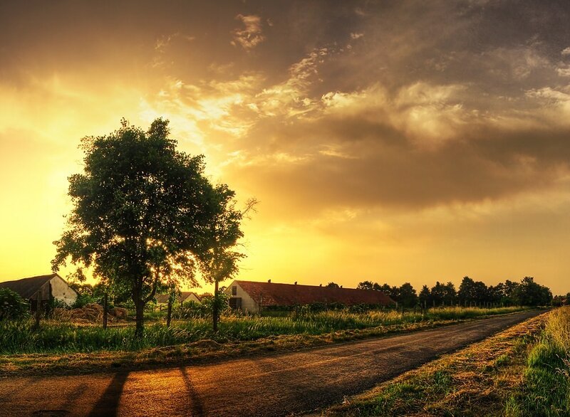 Tree and Farmhouse at Sunset