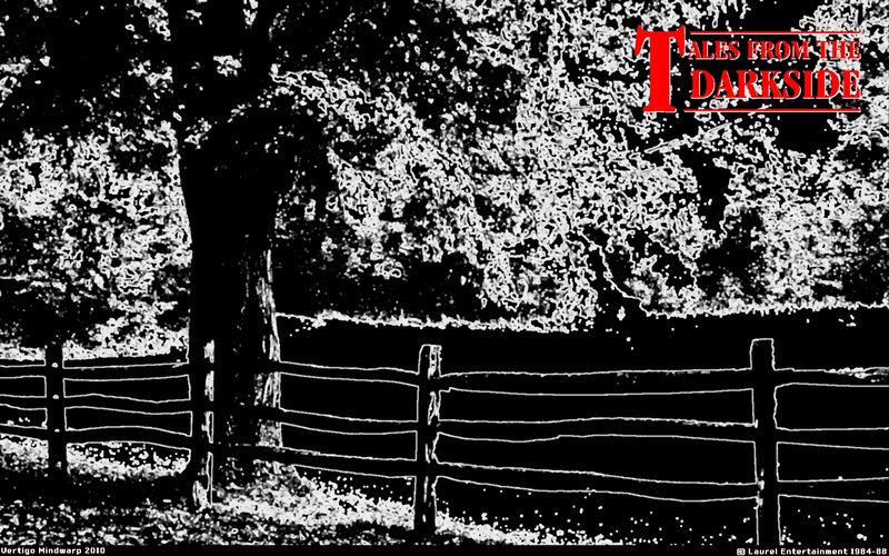 Tree and Fence in Forest