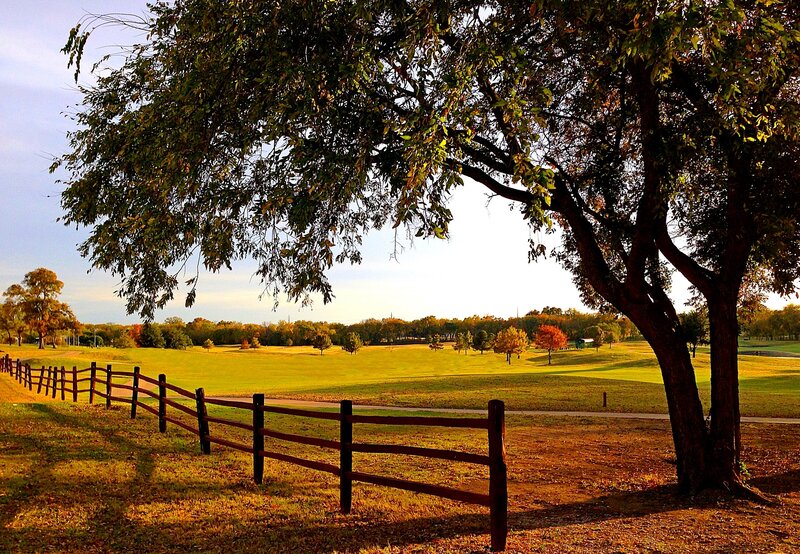 Tree and Golf Course