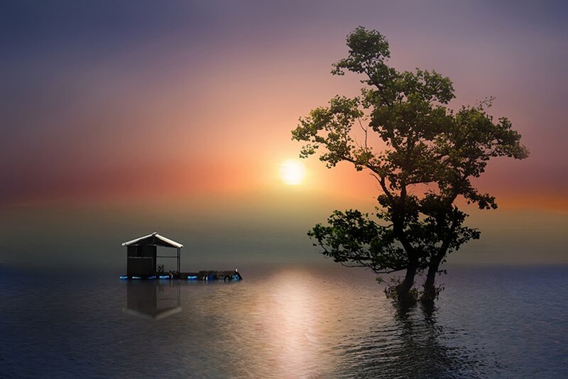 Tree and Hut in Water