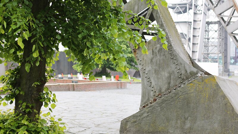 Tree and Metal Structure