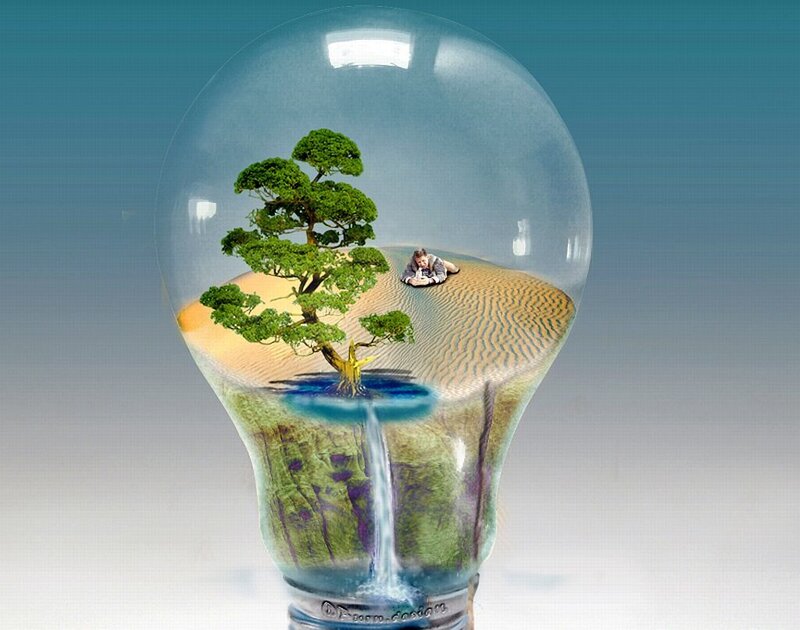 Tree and Person in Light Bulb