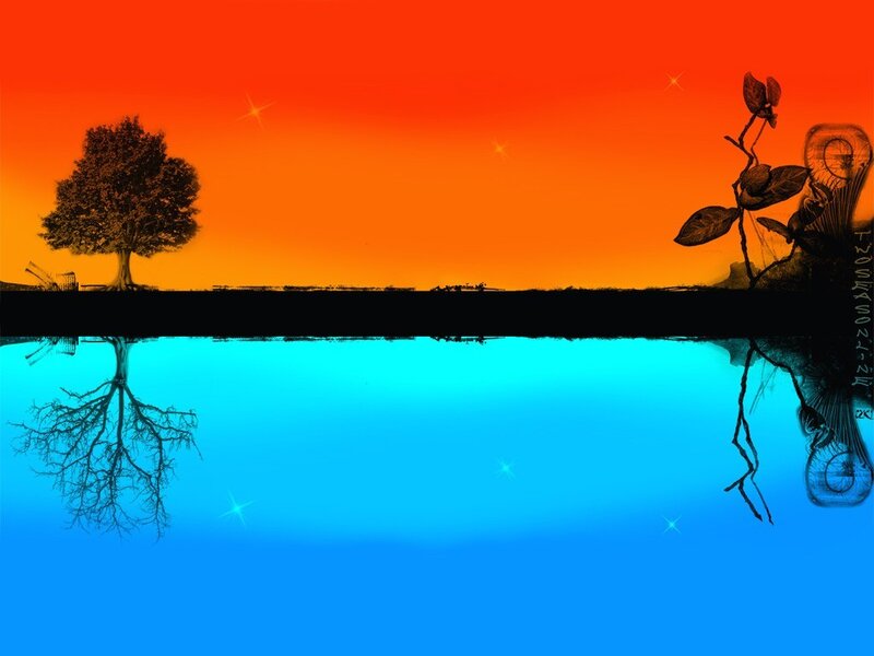 Tree and Plant Reflection