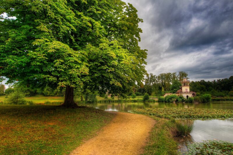 Tree and Pond with Gazebo