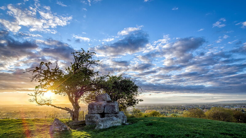 Tree and Rocks on Hill