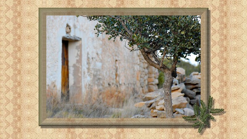 Tree and Stone Building