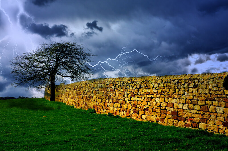 Tree and Stone Wall — Green, Dramatic