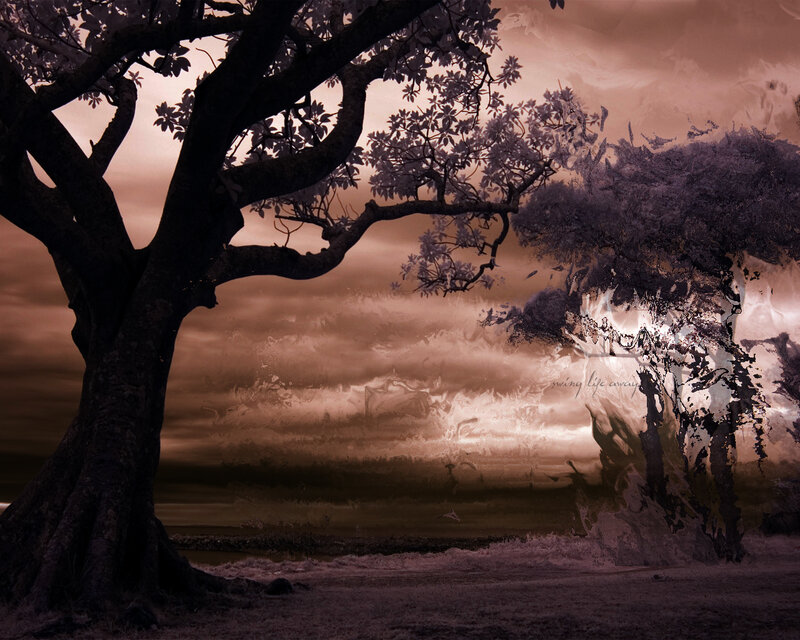 Tree at dusk with surreal sky