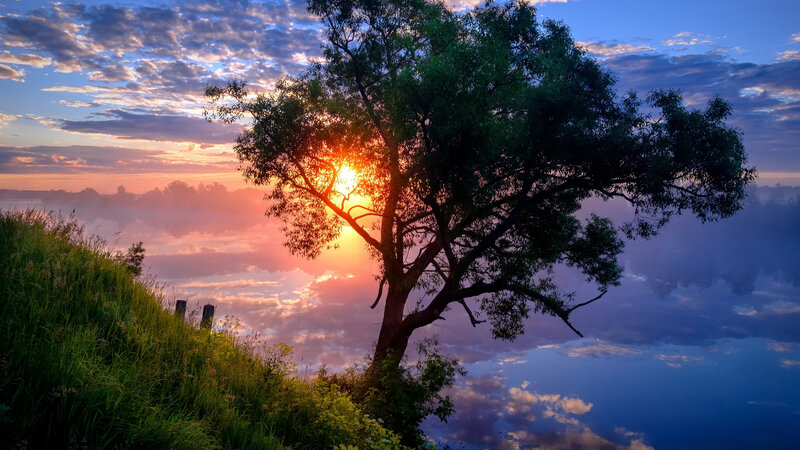 Tree at Sunset by River