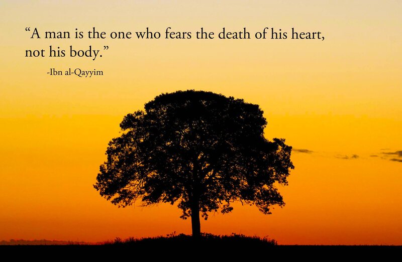 Tree at sunset with quote