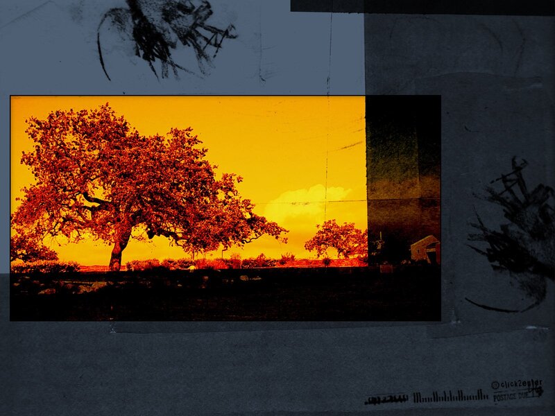 Tree at Sunset — Yellow, Dramatic