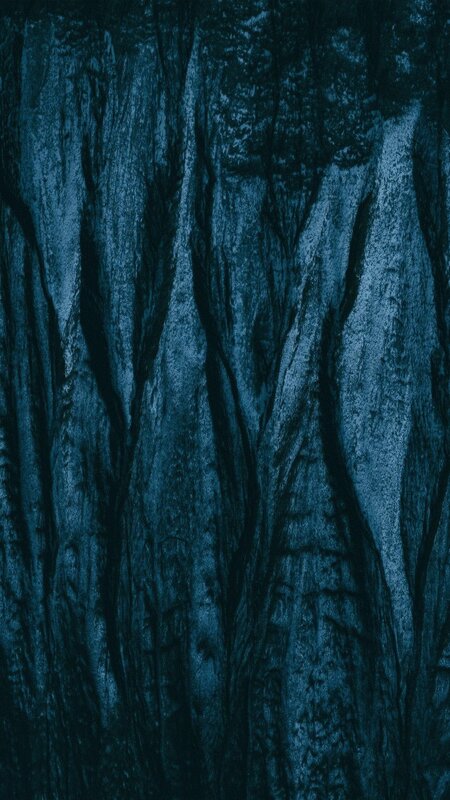 Tree Bark Texture — Blue