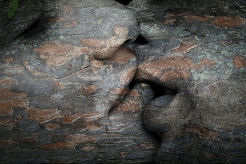 Tree Bark with Face Shape
