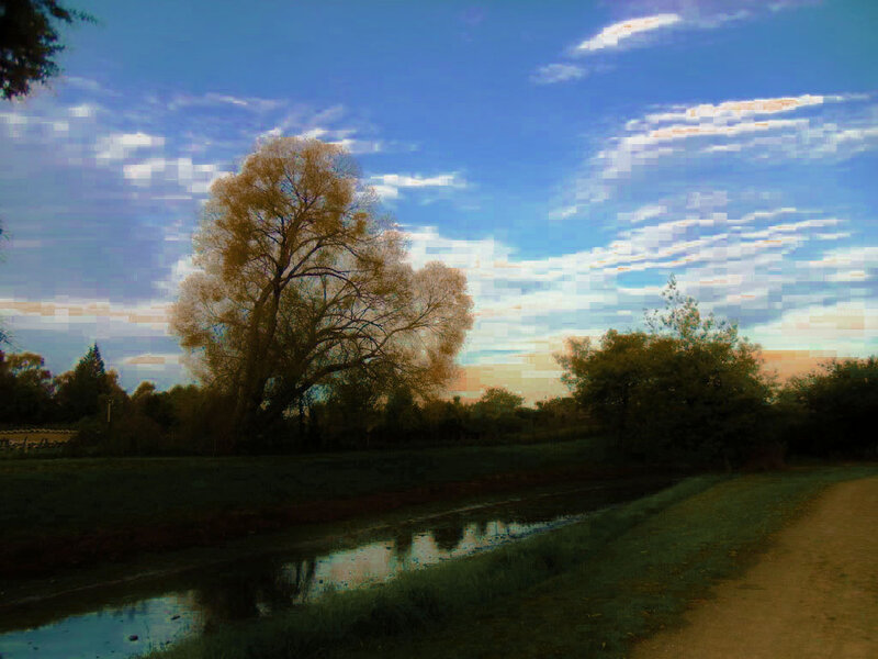 Tree Beside River — Blue, Serene, Sunset