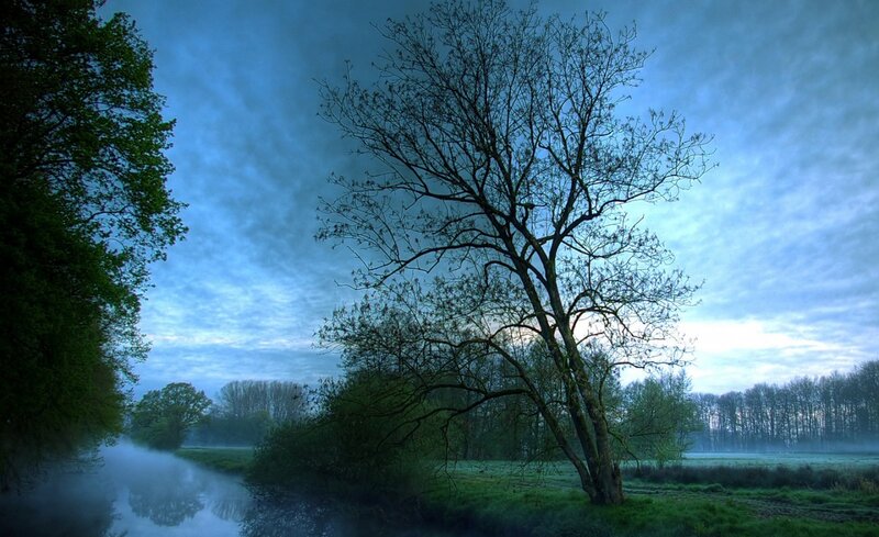 Tree Beside River — Blue, Serene