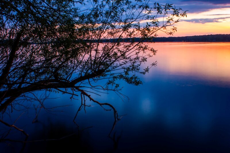 Tree Branch over Lake — Blue