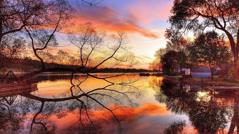 Tree Branch over Lake — Orange