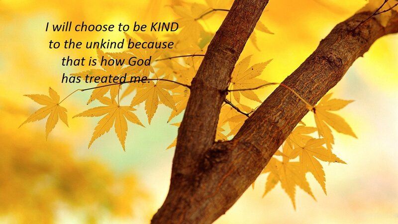 Tree Branch with Yellow Leaves