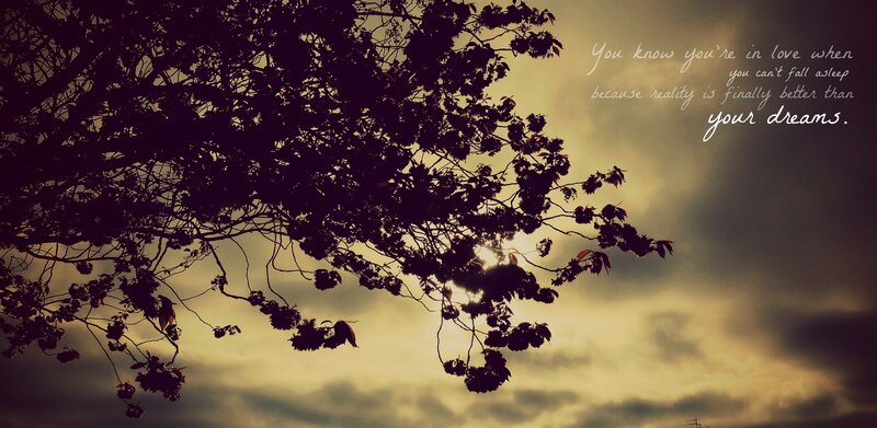 Tree Branches at Sunset — Yellow