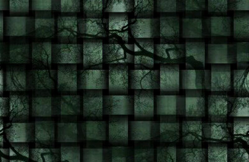 Tree Branches in Grid
