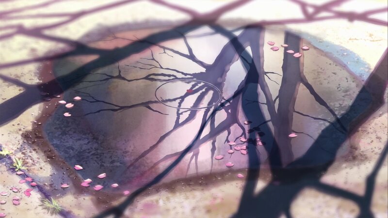 Tree Branches in Puddle