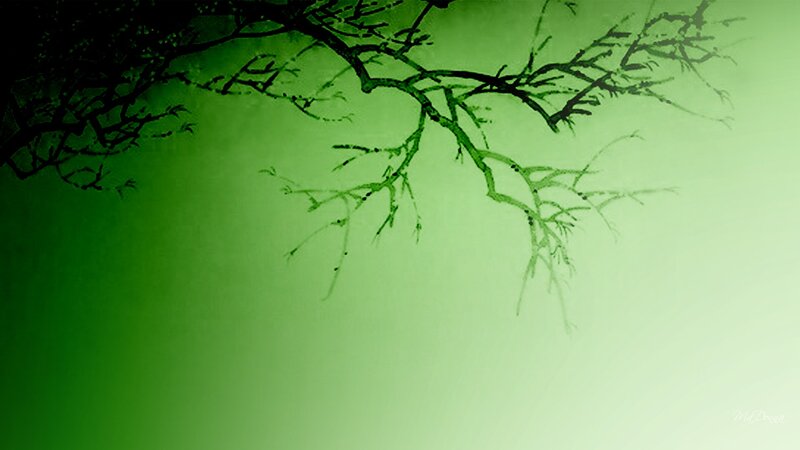 Tree Branches on Green