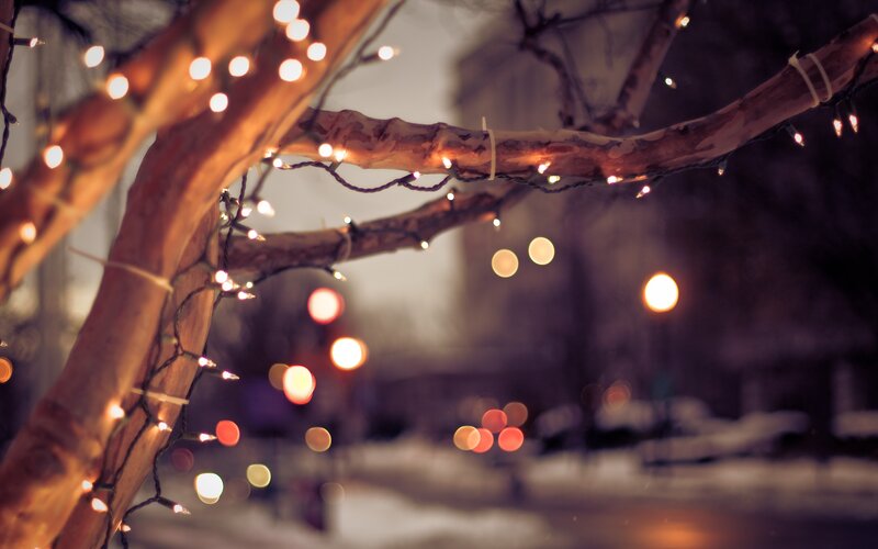 Tree Branches with Lights — Brown