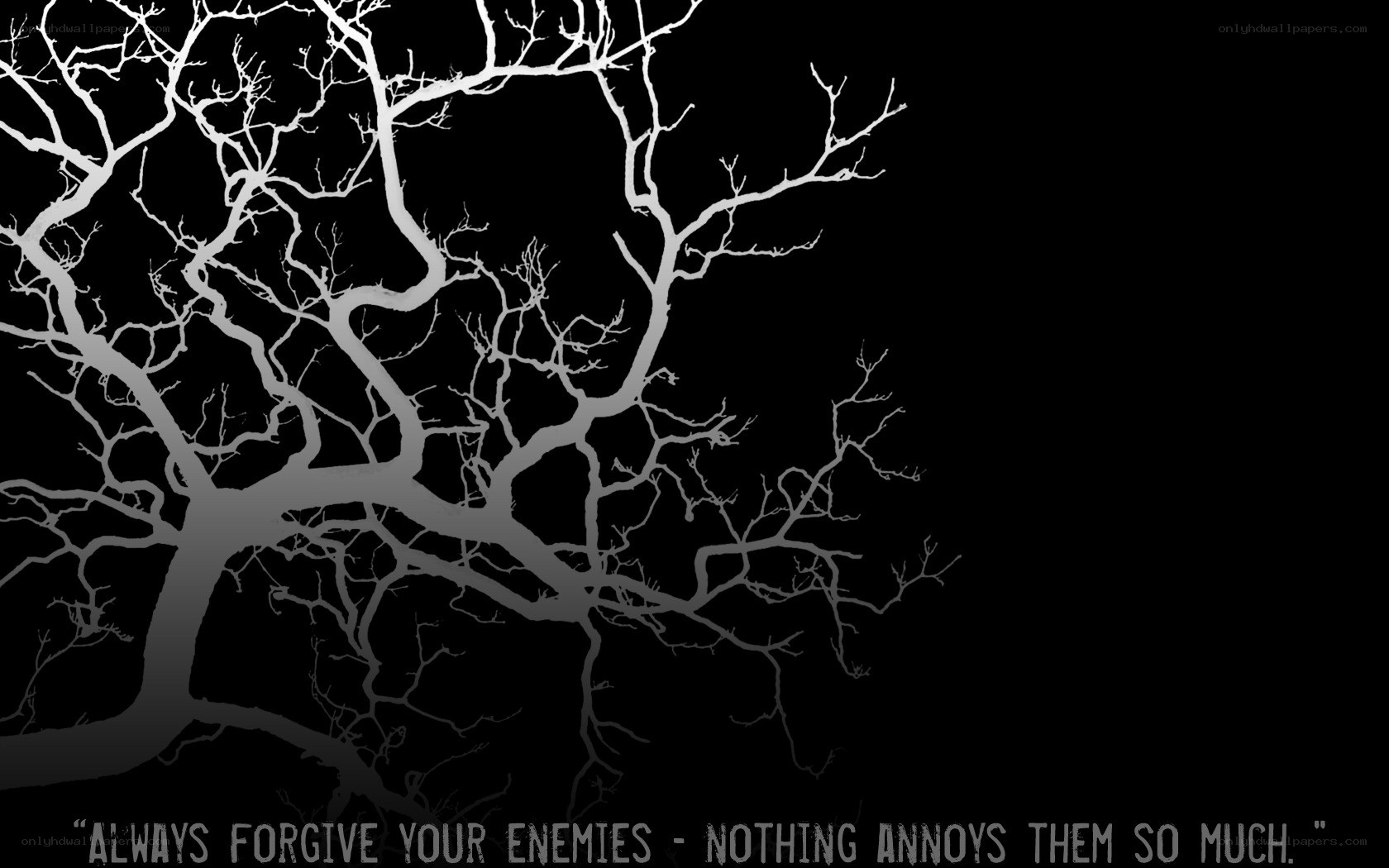 tree branches with quote