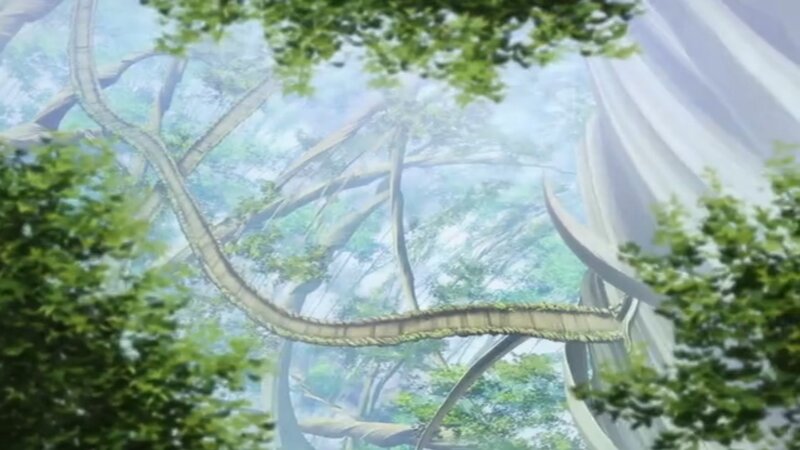 Tree Bridge in Forest