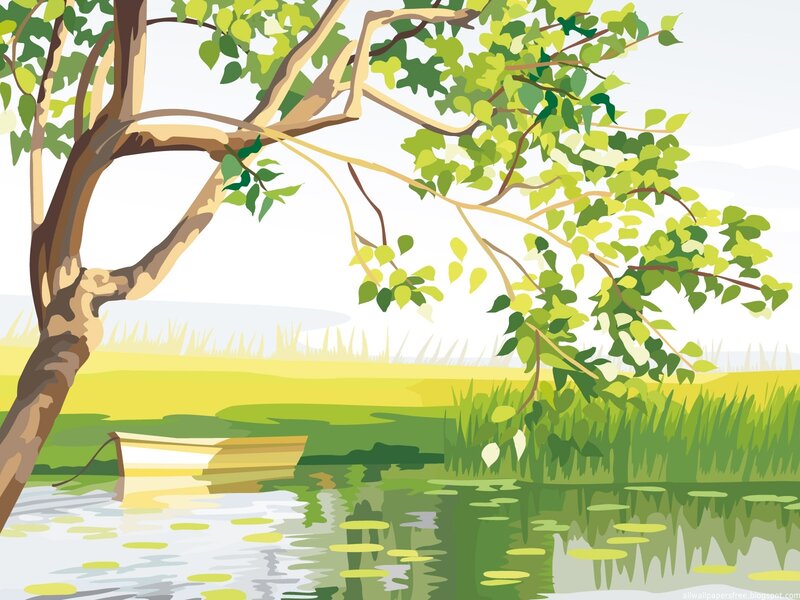 Tree by a calm lake