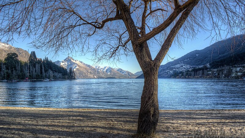 Tree by a lake with mountains