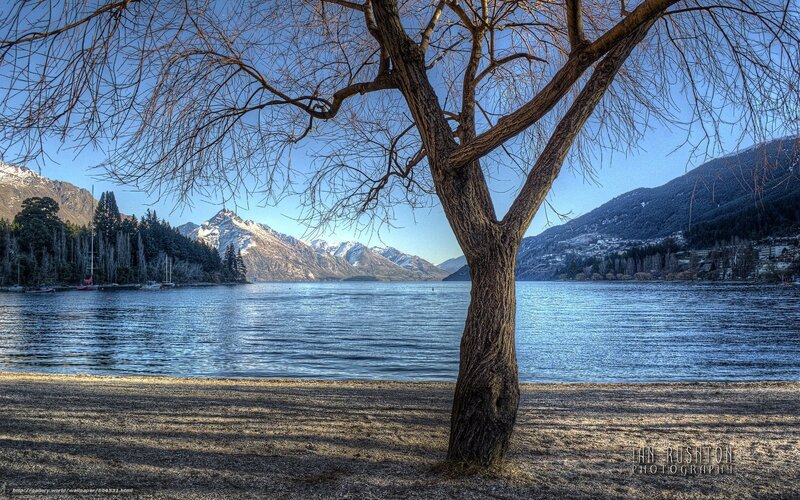 Tree by a lake with mountains