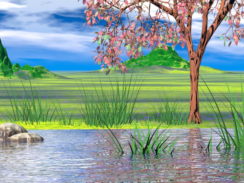 Tree by a Pond — Green, Serene
