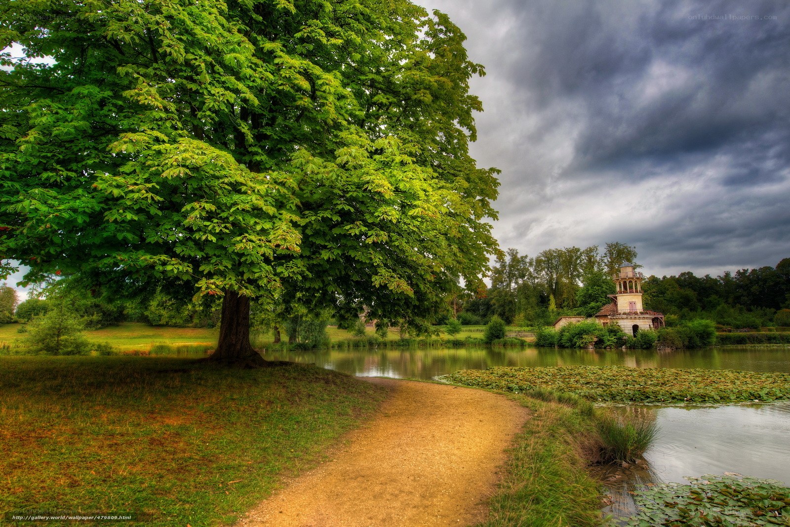 Tree by a pond with gazebo