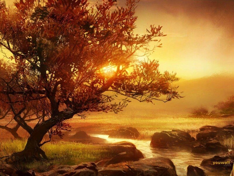 Tree by a River at Sunset