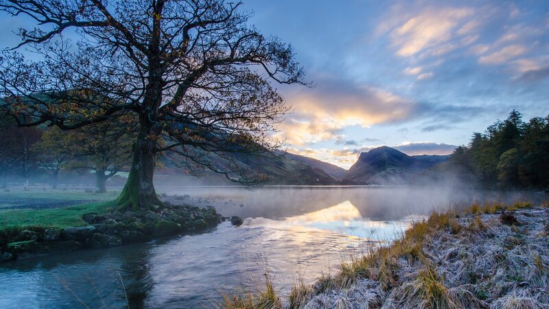 Tree by Lake at Dawn