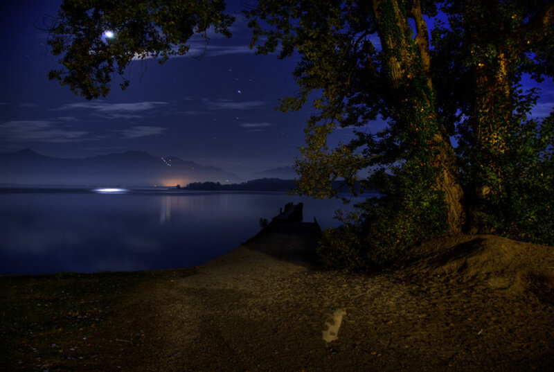 Tree by Lake at Night — Blue