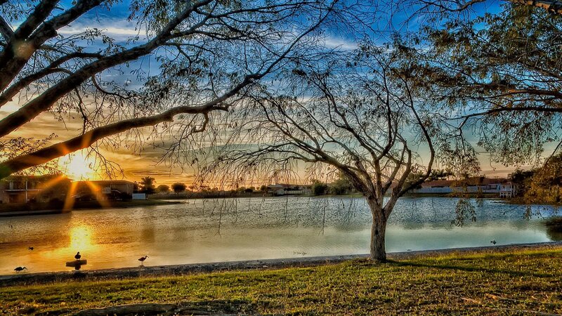 Tree by Lake at Sunset — Blue, Serene