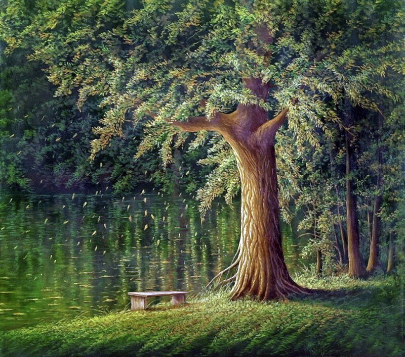 Tree by Lake — Green, Serene