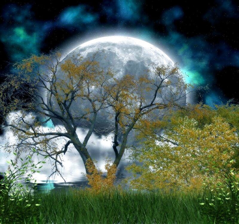 Tree by Lake under Moon