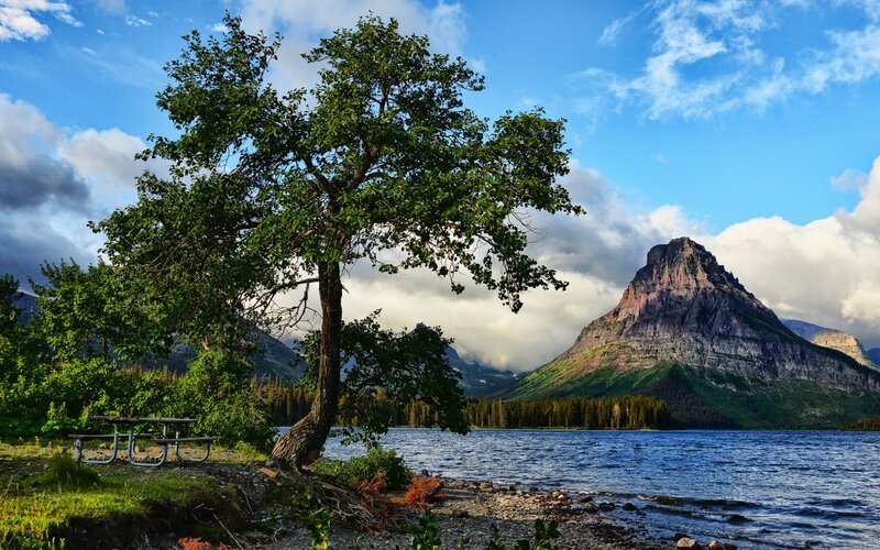 Tree by Lake with Mountain — Blue, Serene, Afternoon