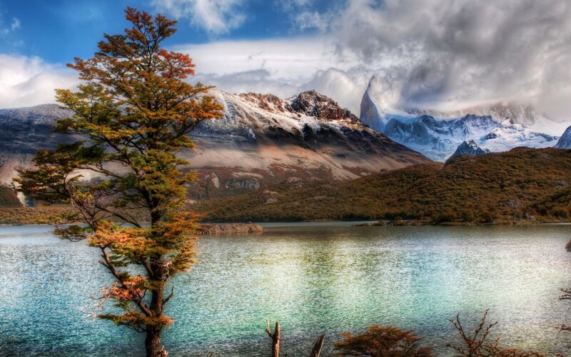 Tree by Lake with Mountain — Blue