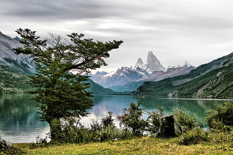 Tree by Lake with Mountain