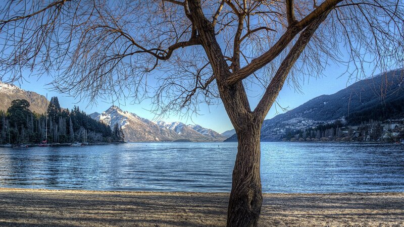 Tree by Lake with Mountains — Blue, Serene, Winter