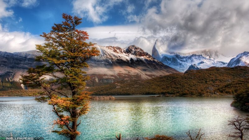 Tree by Lake with Mountains — Blue