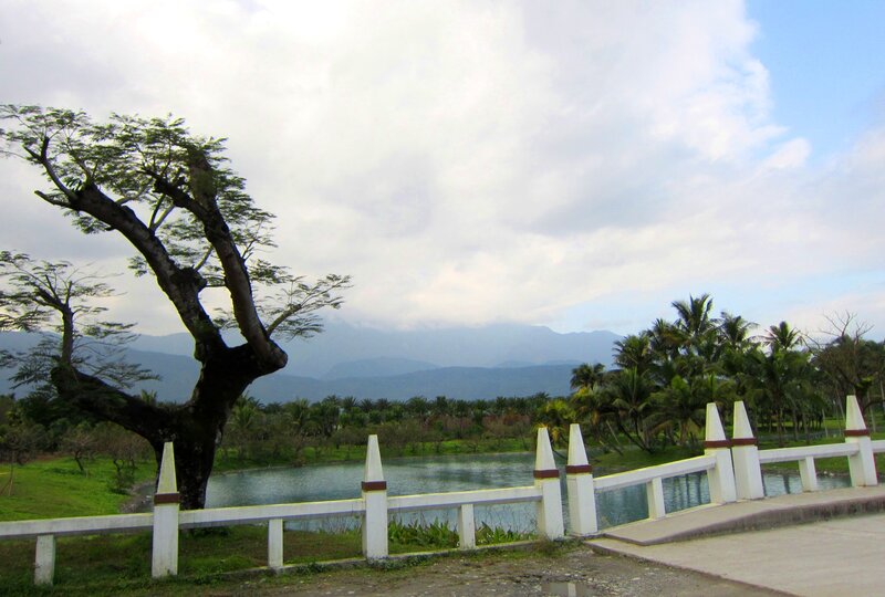 Tree by Lake with Mountains — Green