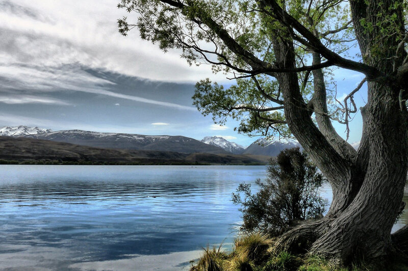 Tree by Lake with Mountains