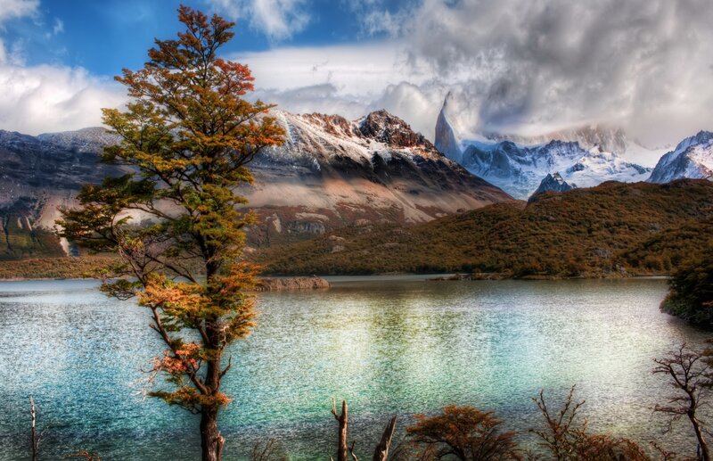 Tree by Mountain Lake — Blue, Dramatic, Autumn