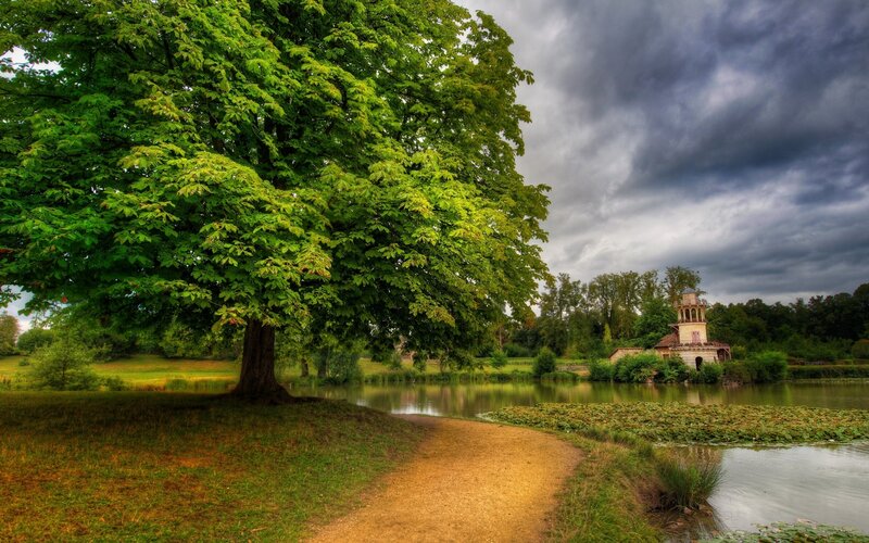 Tree by Pond with Tower