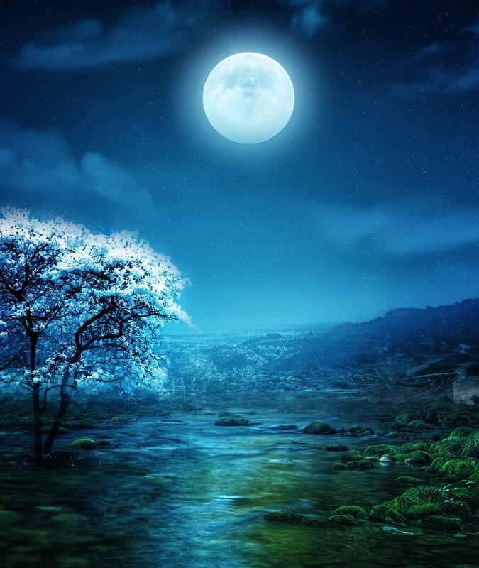 Tree by River under Moon